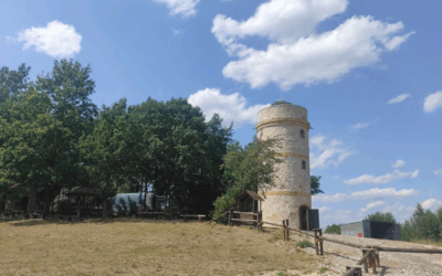 Wieża widokowa na Krakowej Górze w Borkowicach