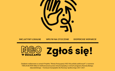 Nabór organizacji pozarządowych do drugiej edycji projektu “NGO w działaniu”