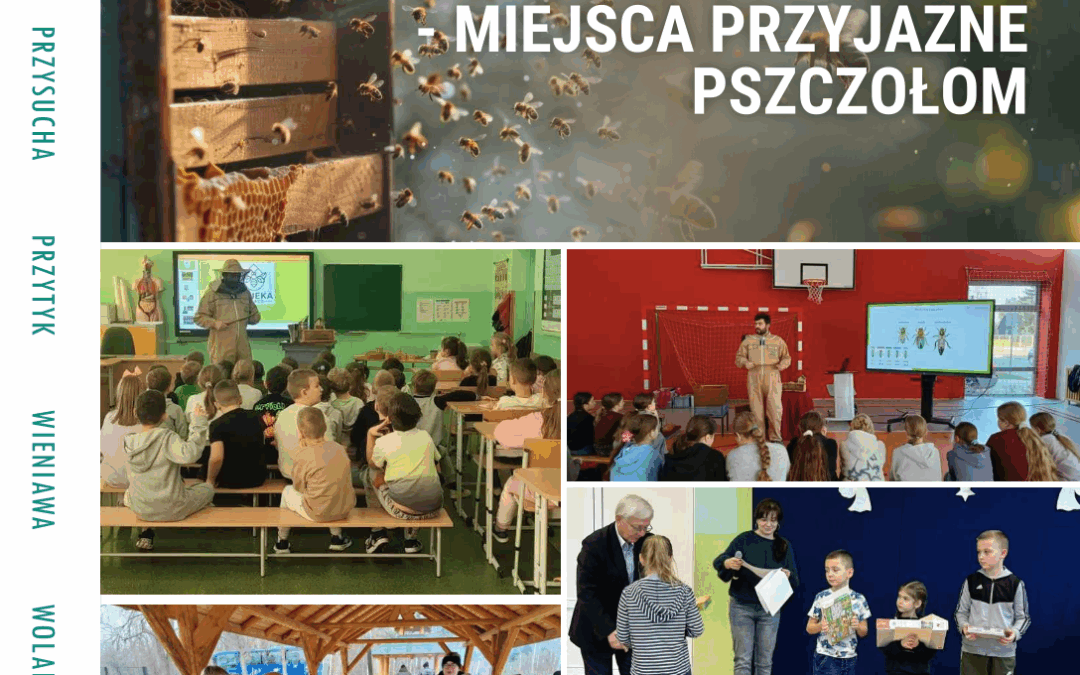 Biuletyn LGD 02/2025