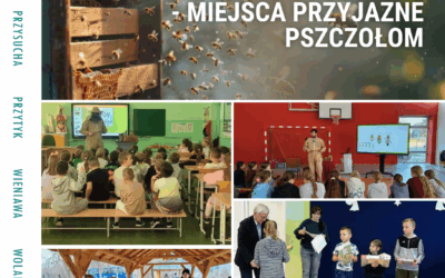 Biuletyn LGD 02/2025