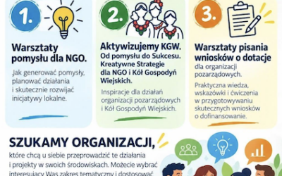 Akademia Liderów NGO – Impuls Rozwoju Organizacji Społecznych”